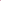 CHIC rose