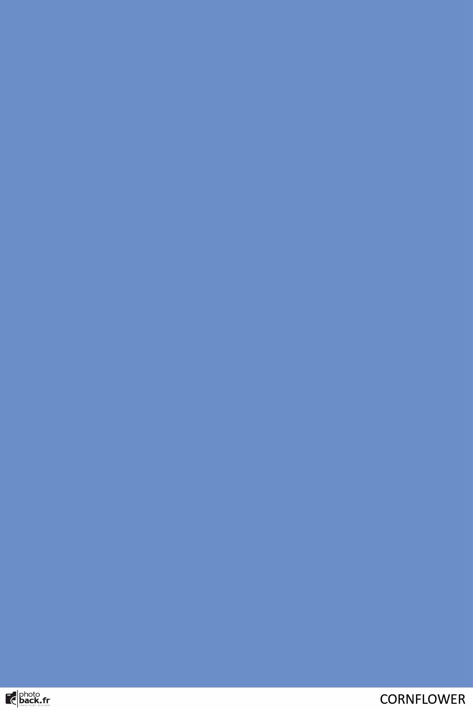 Cornflower