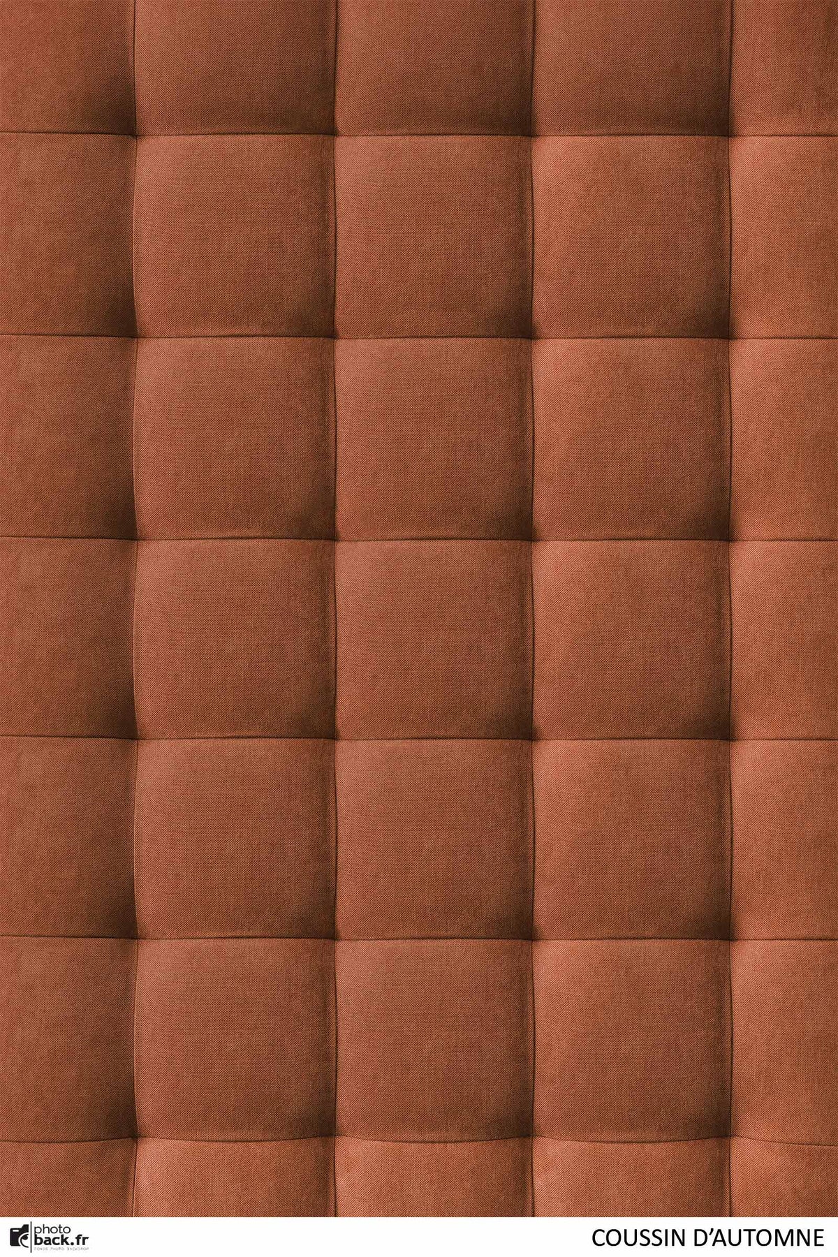 COUSSIN D'AUTOMNE