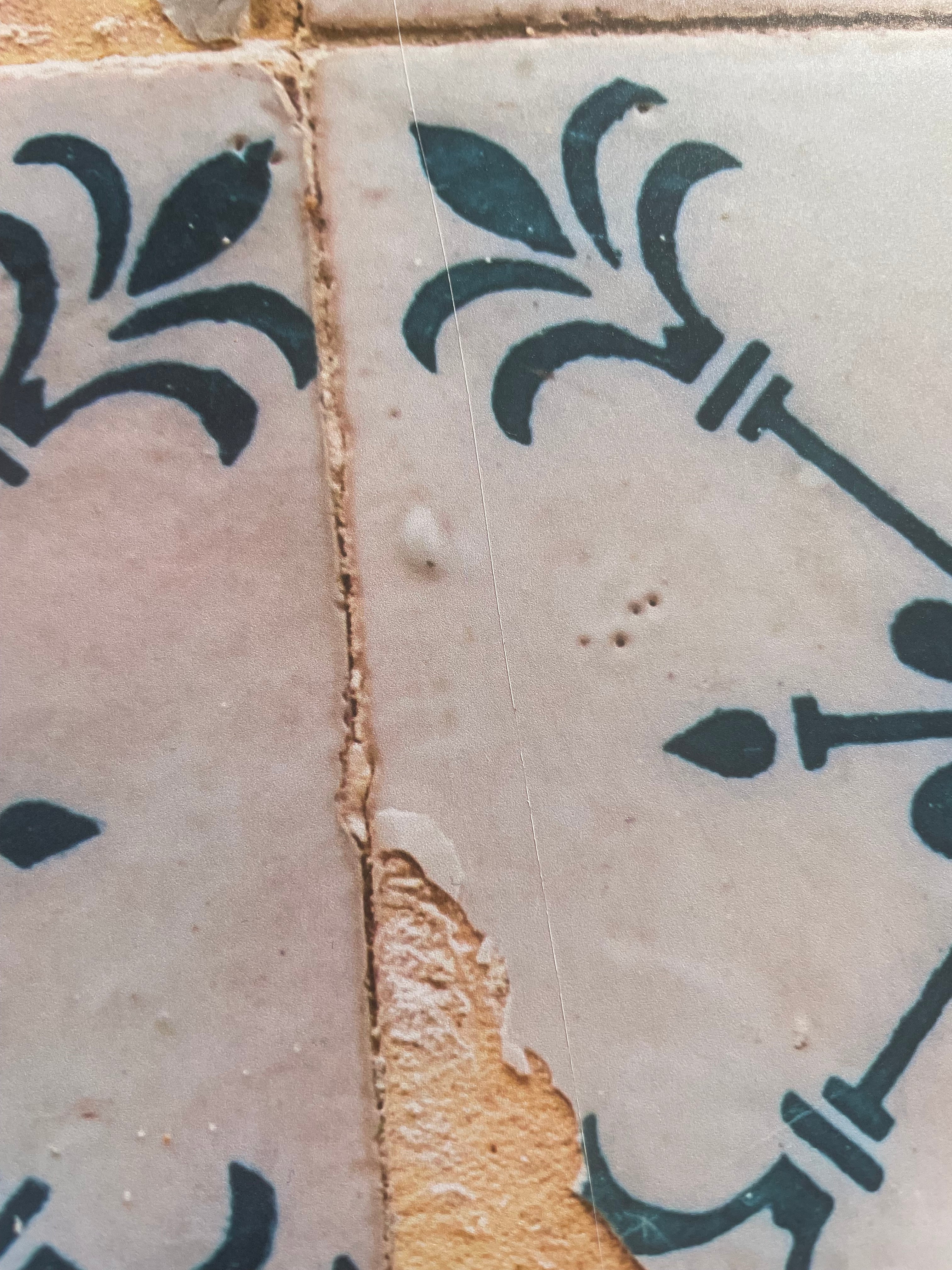 LOT 5: 2 fonds photo en 60x90 cm