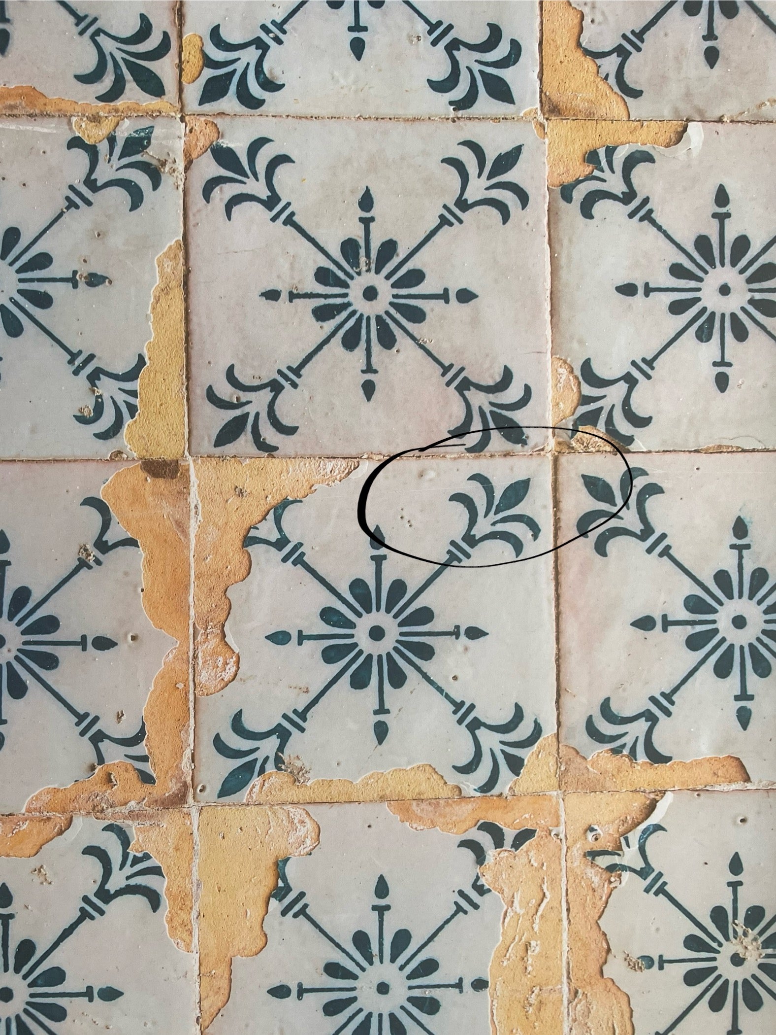 LOT 5: 2 fonds photo en 60x90 cm