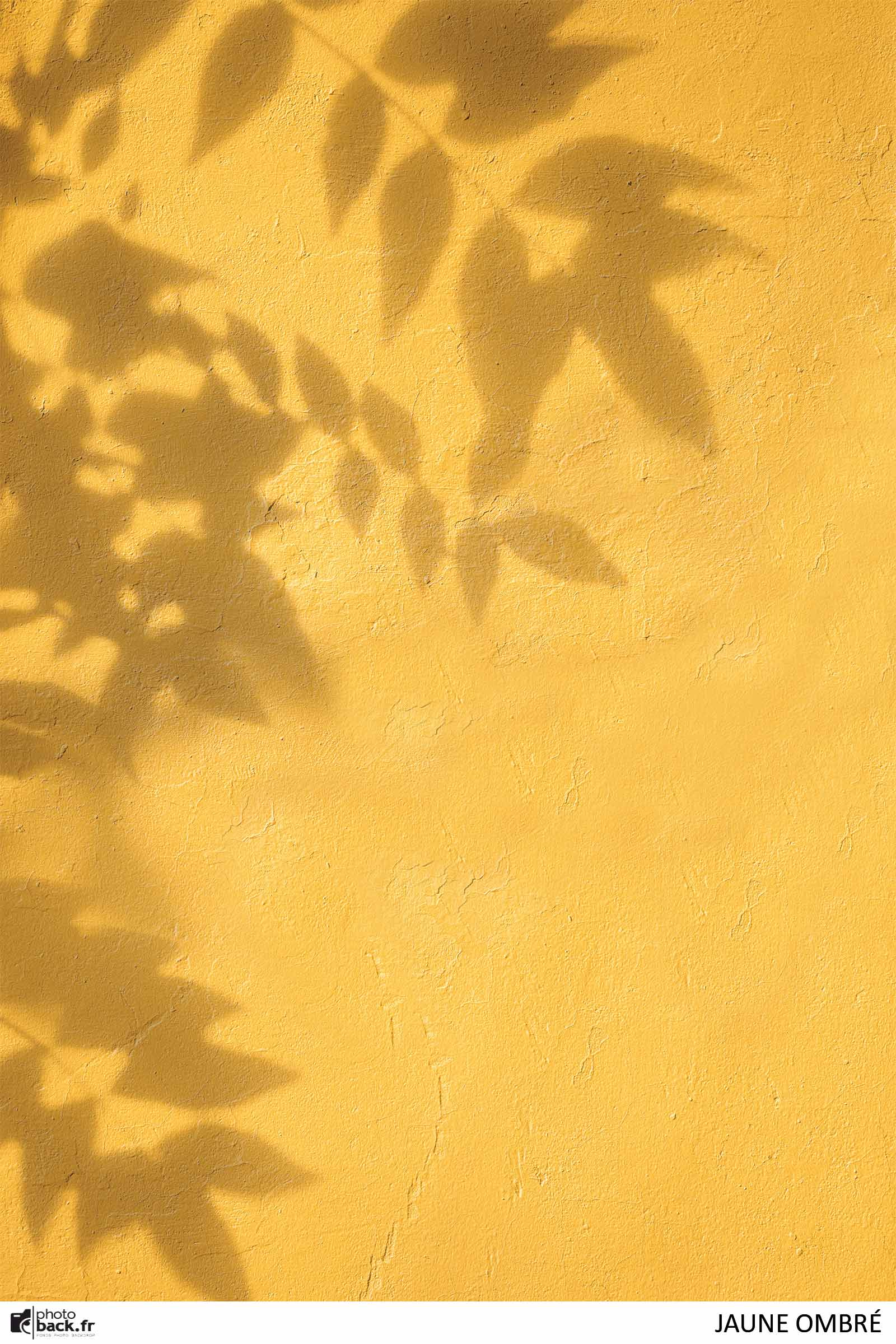 JAUNE OMBRÉ