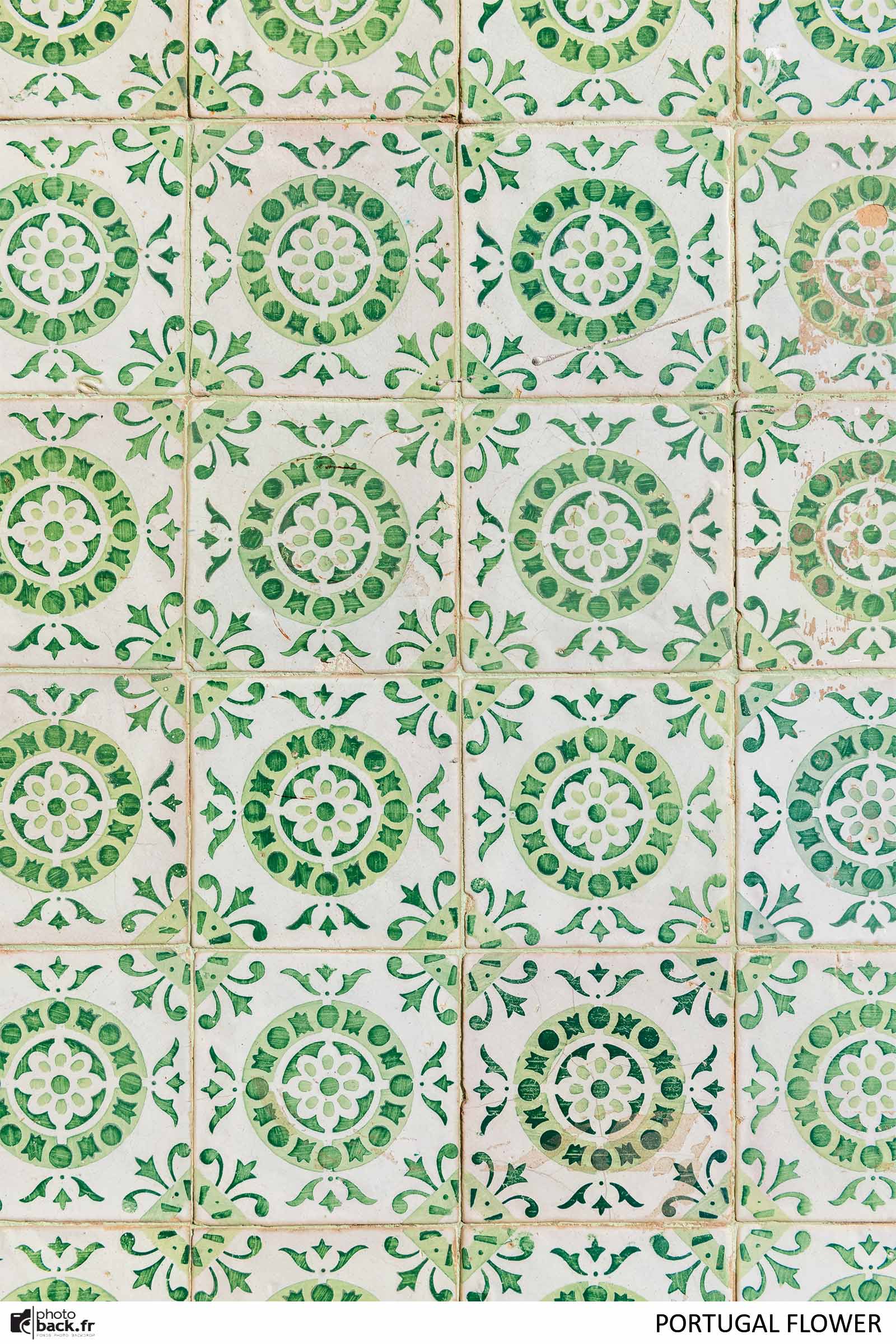 Portugal flower