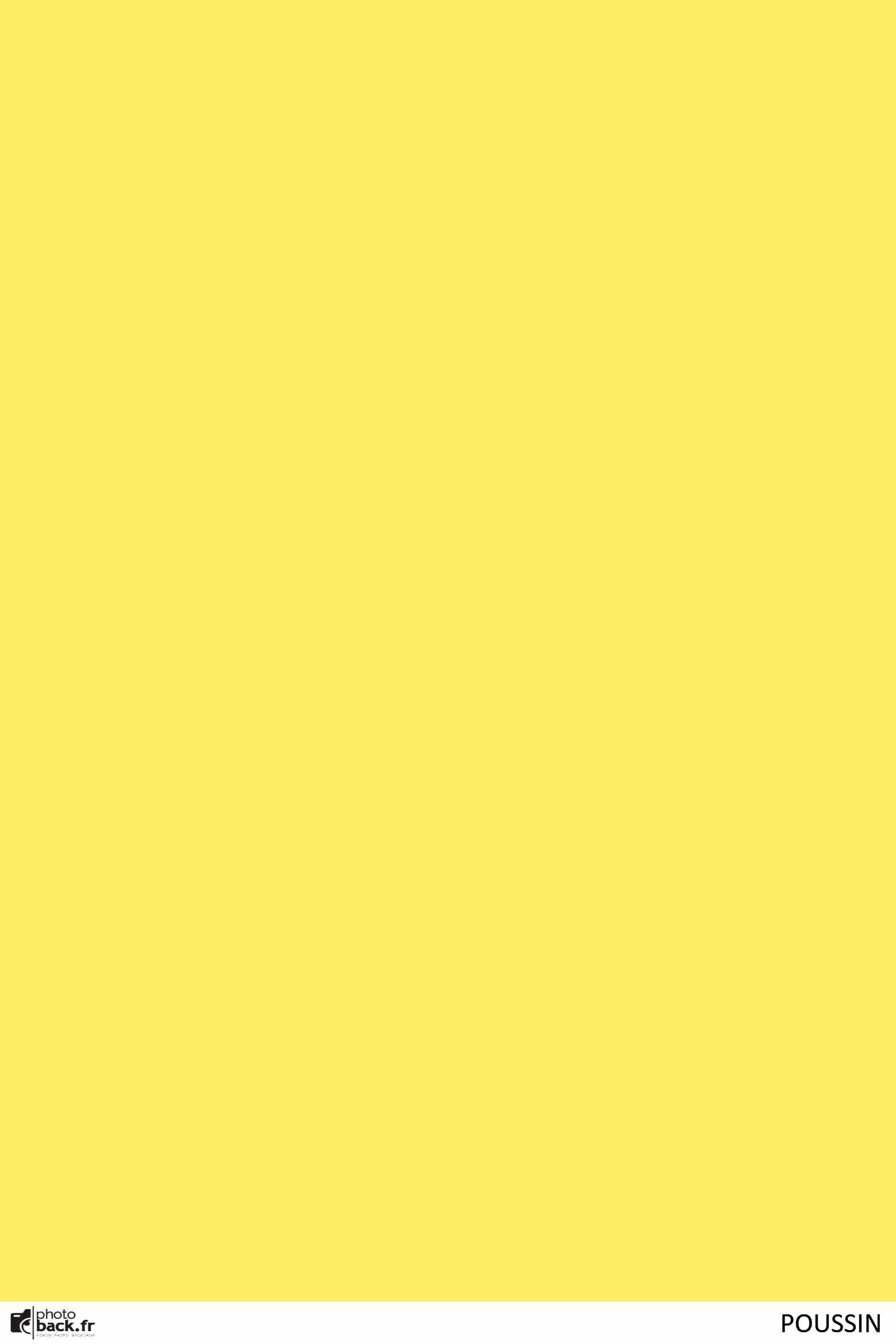 Poussin