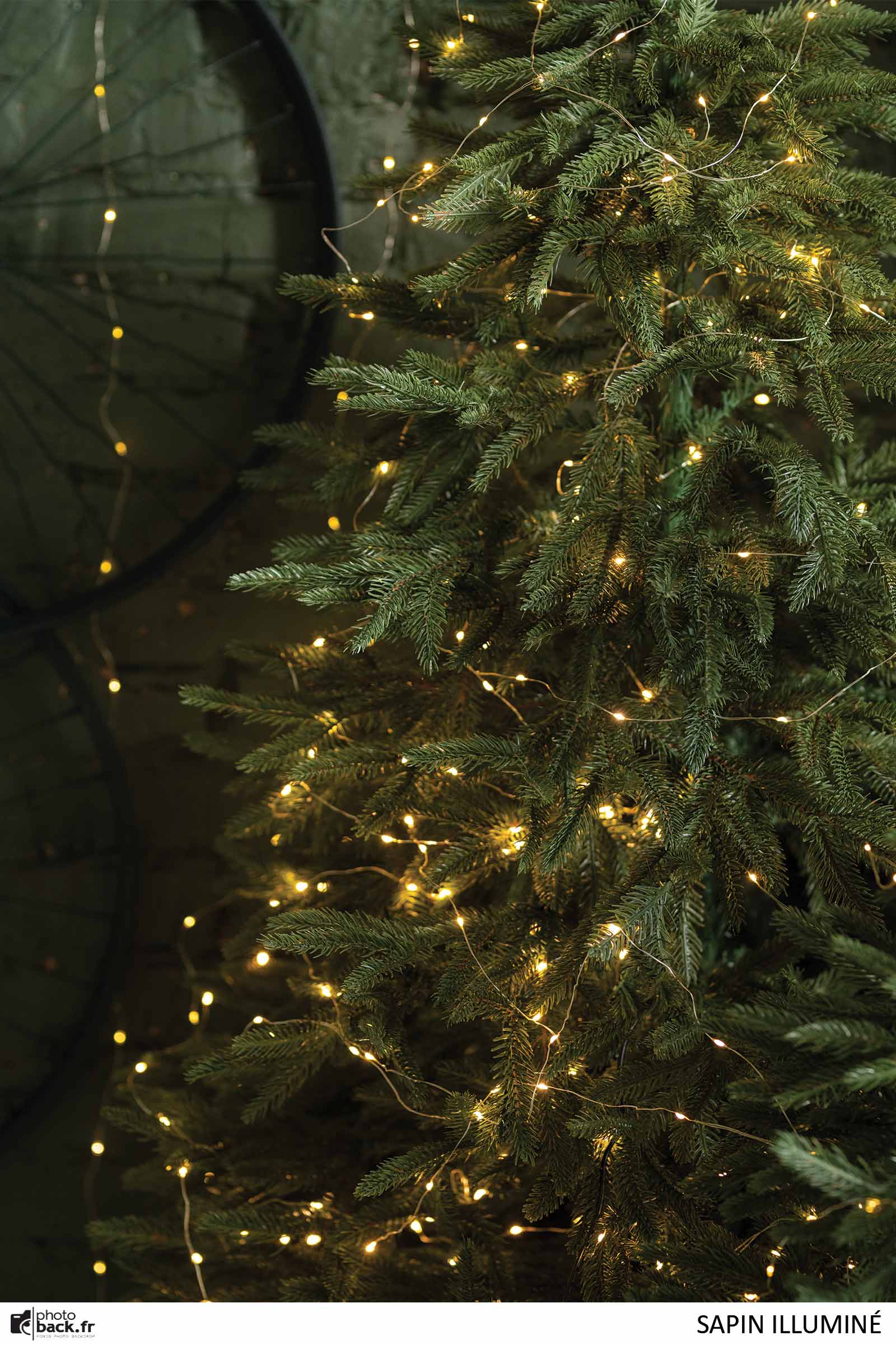 Sapin illuminé