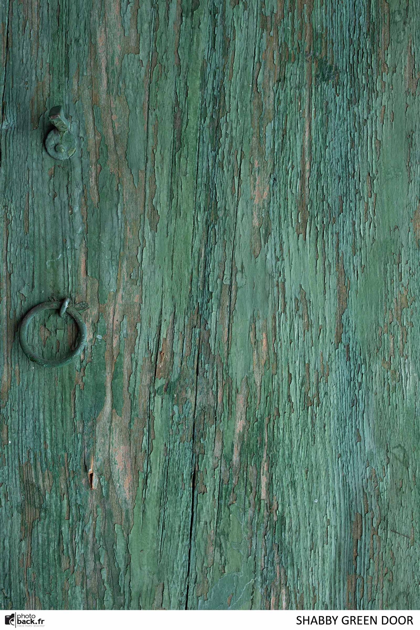 SHABBY GREEN DOOR