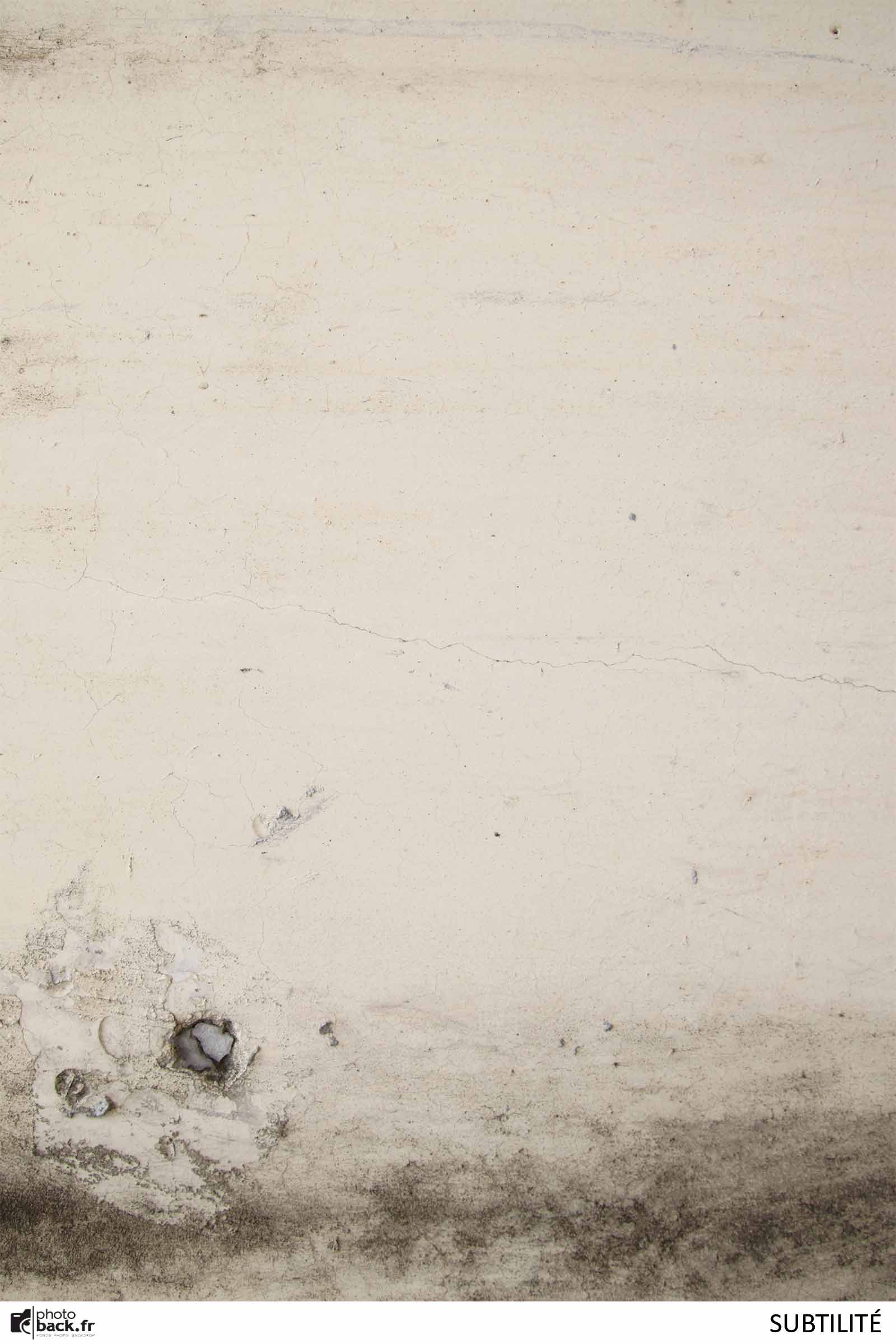 SUBTILITÉ