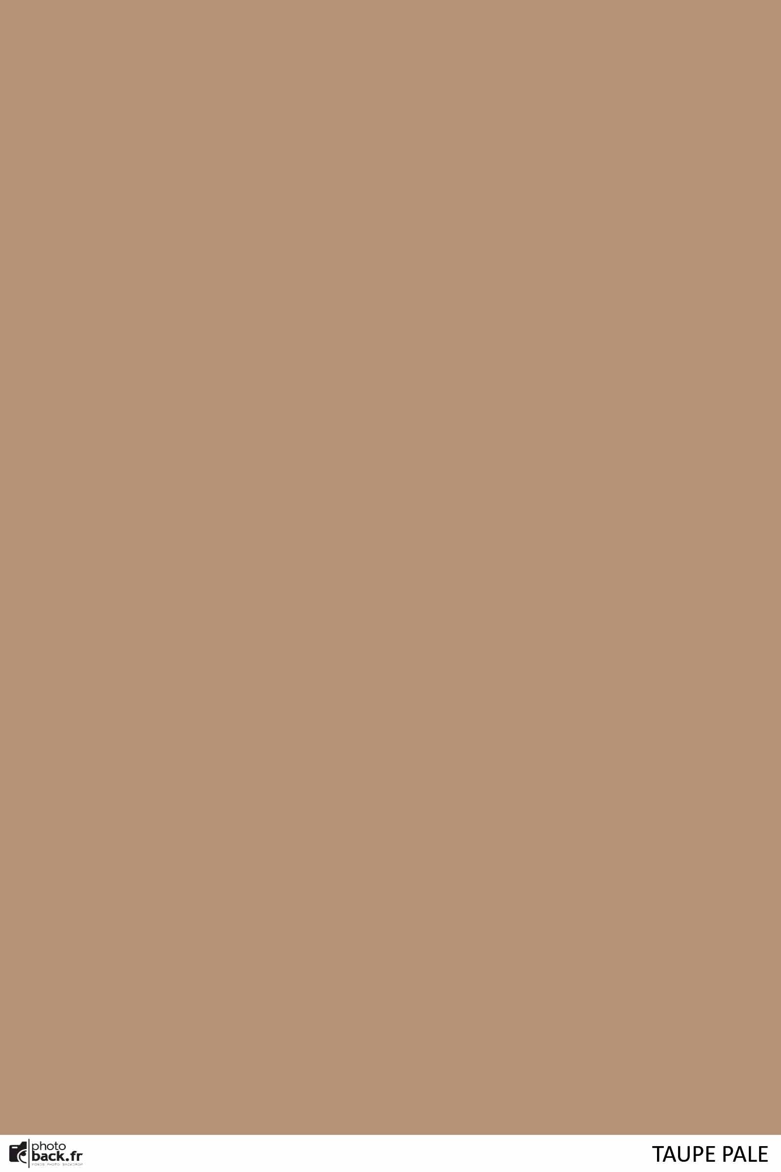 Taupe pale