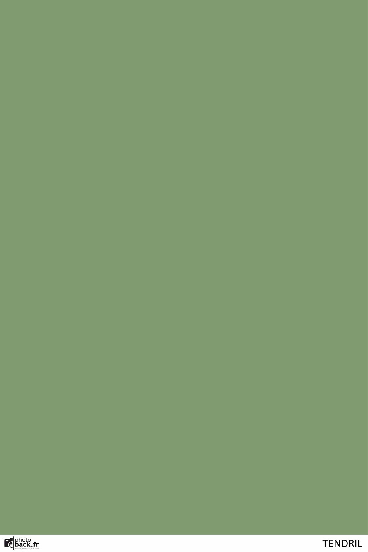 TENDRIL