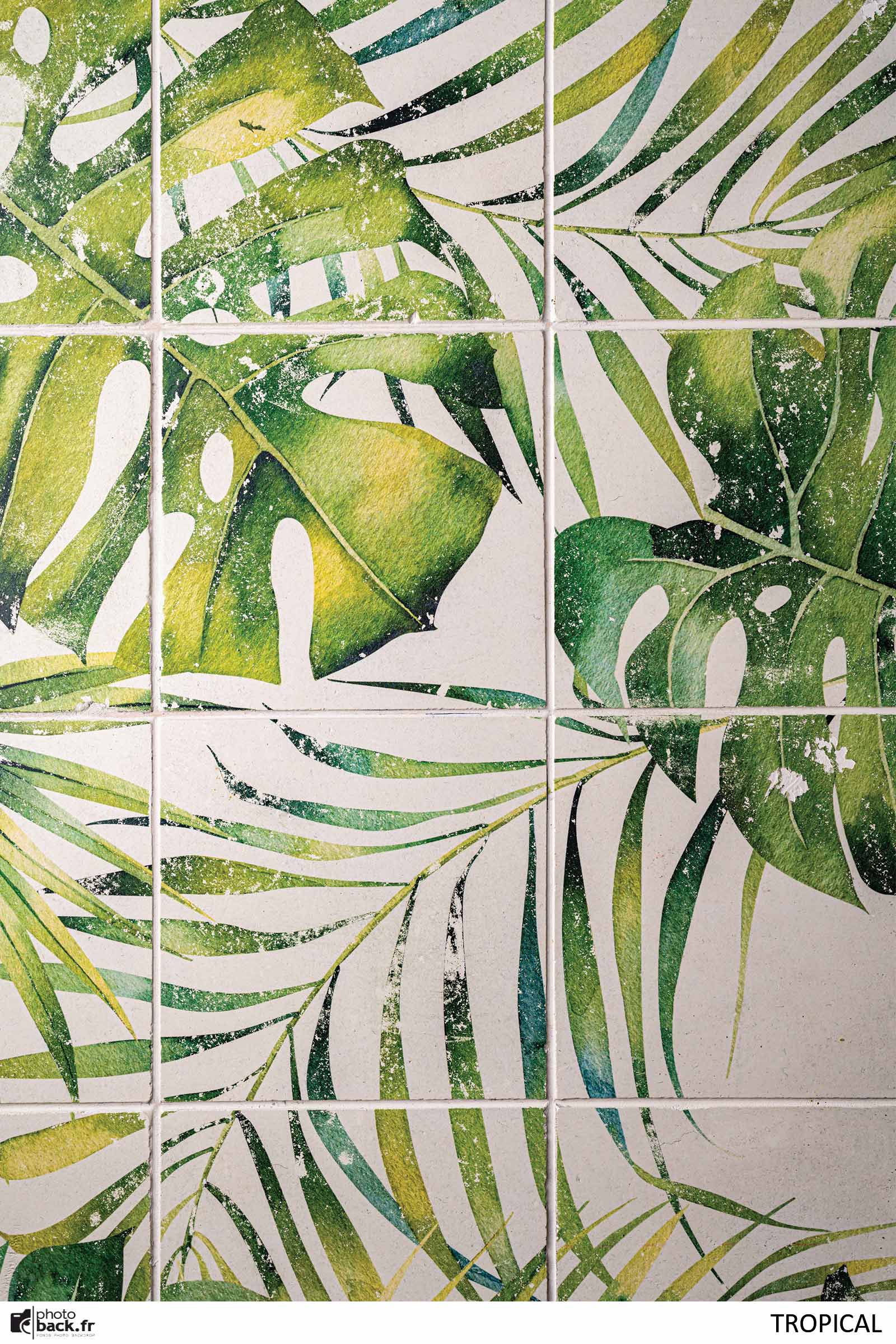 Tropical