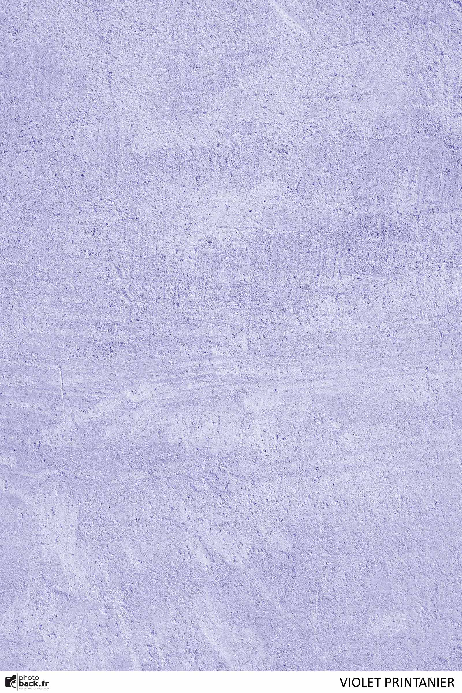 Violet printanier