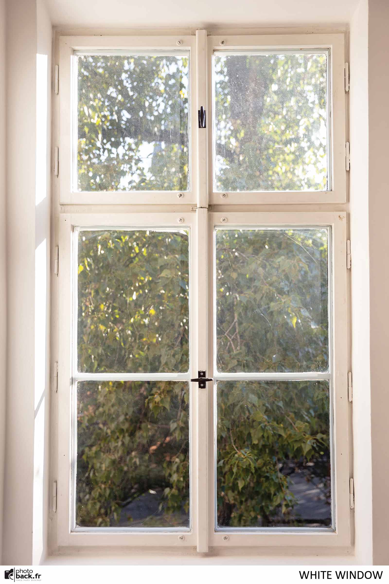 White window