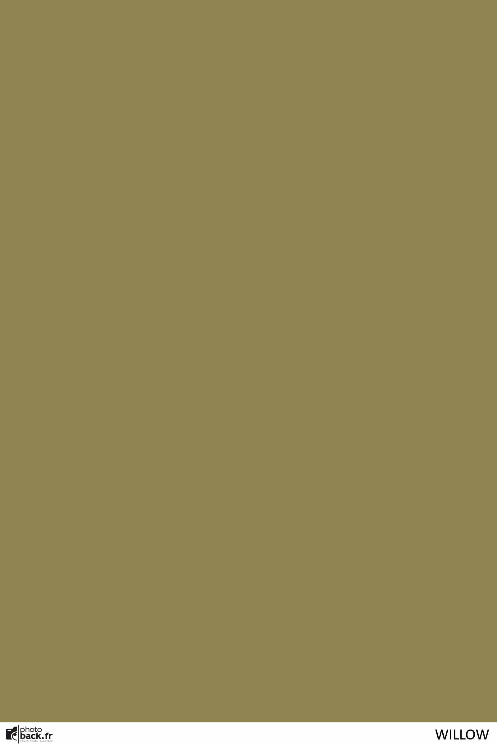 Willow