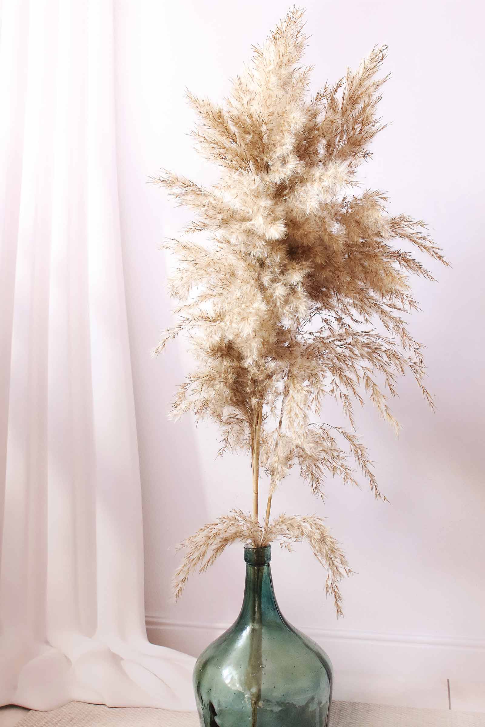 Blanc de lin