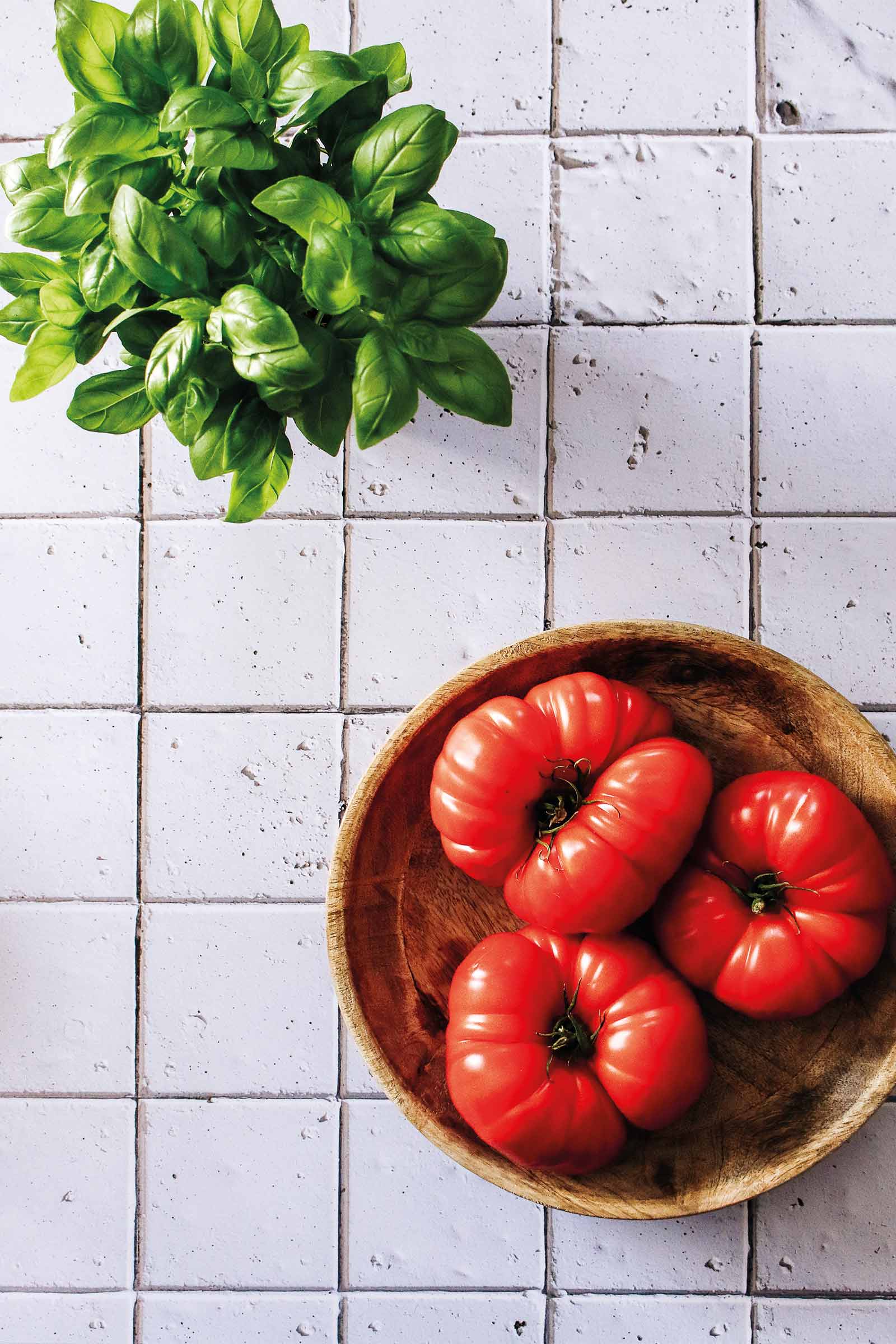 Carreaux rustiques