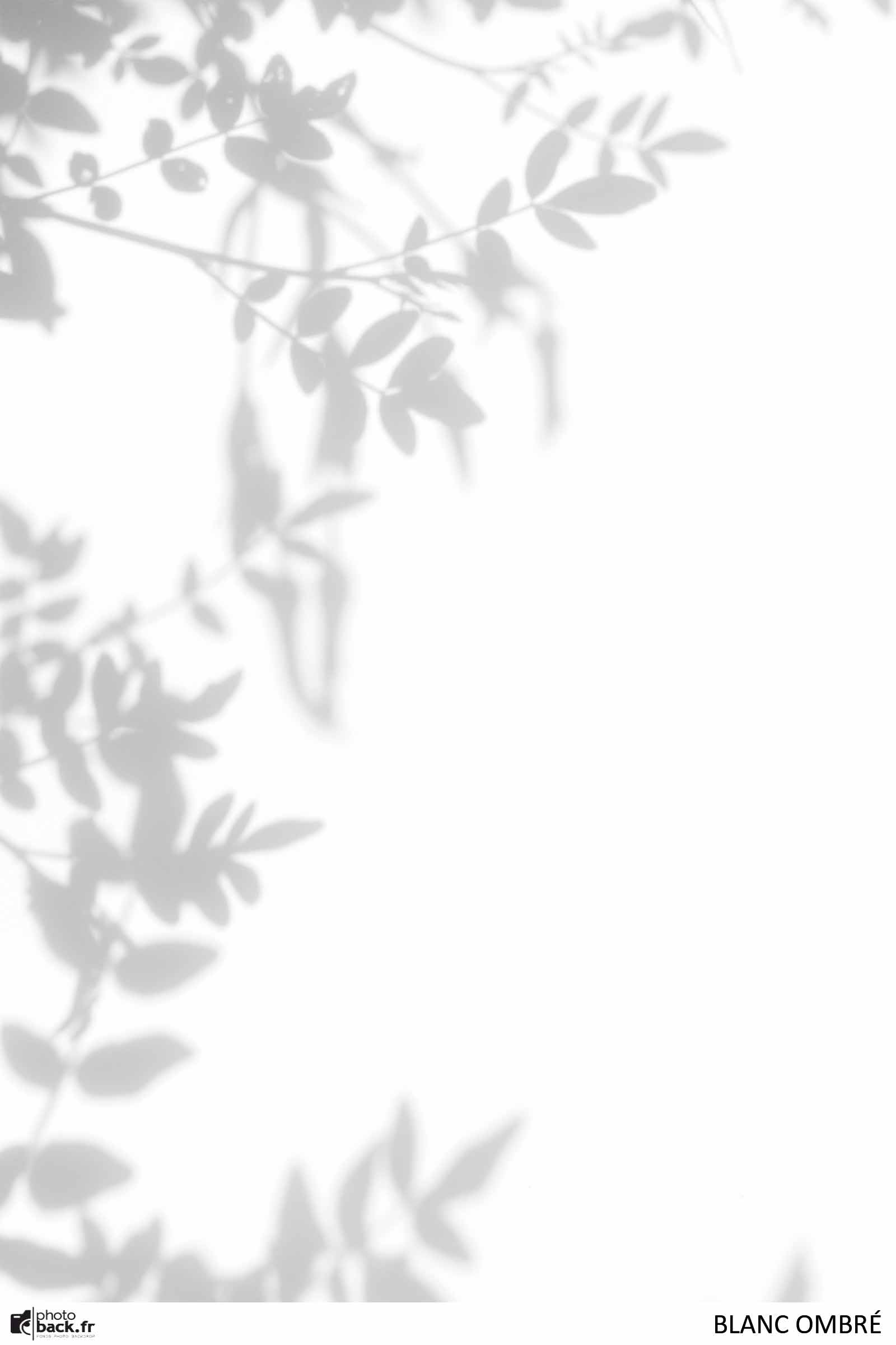 BLANC OMBRÉ