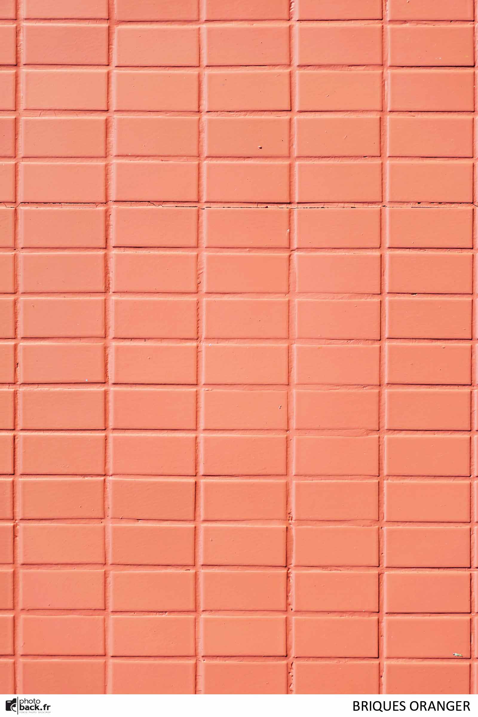 Briques oranger