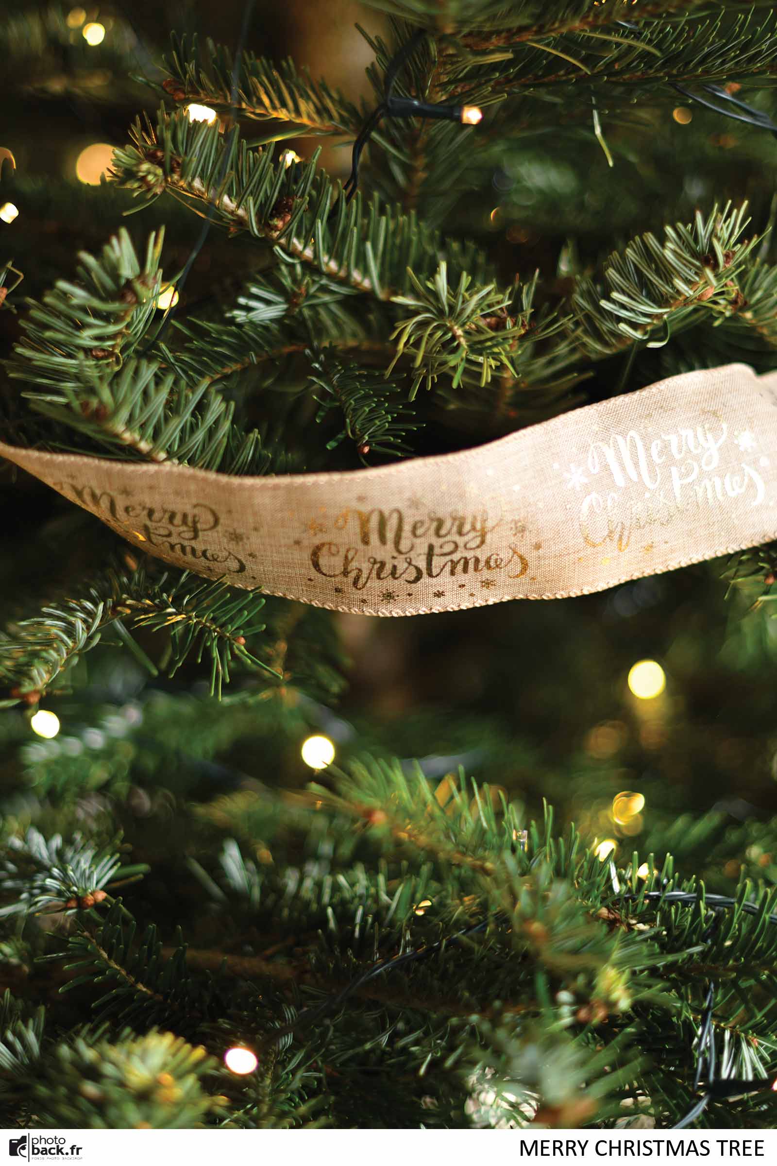 Merry Christmas Tree