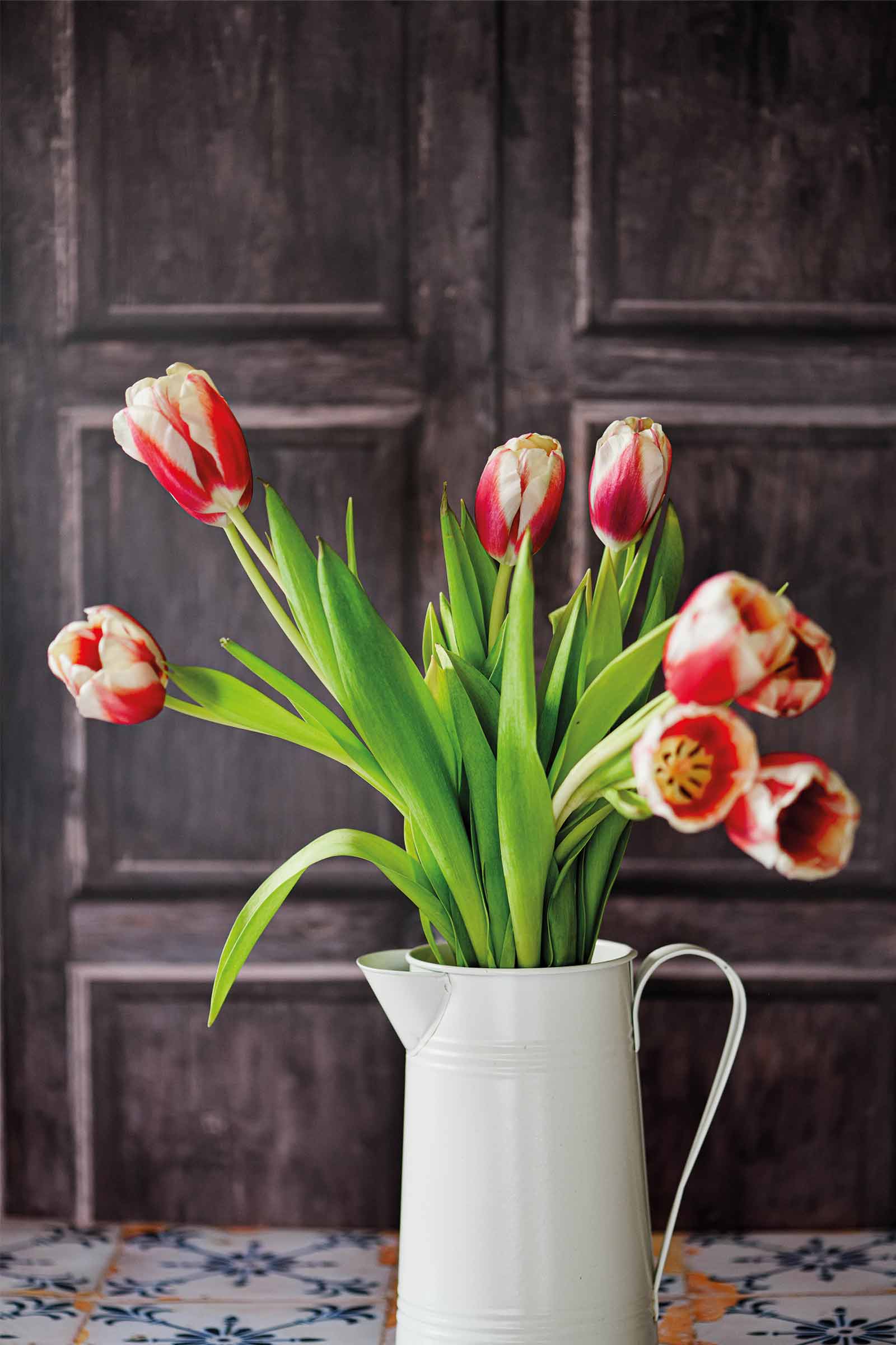 LA PORTE DES SOUVENIRS