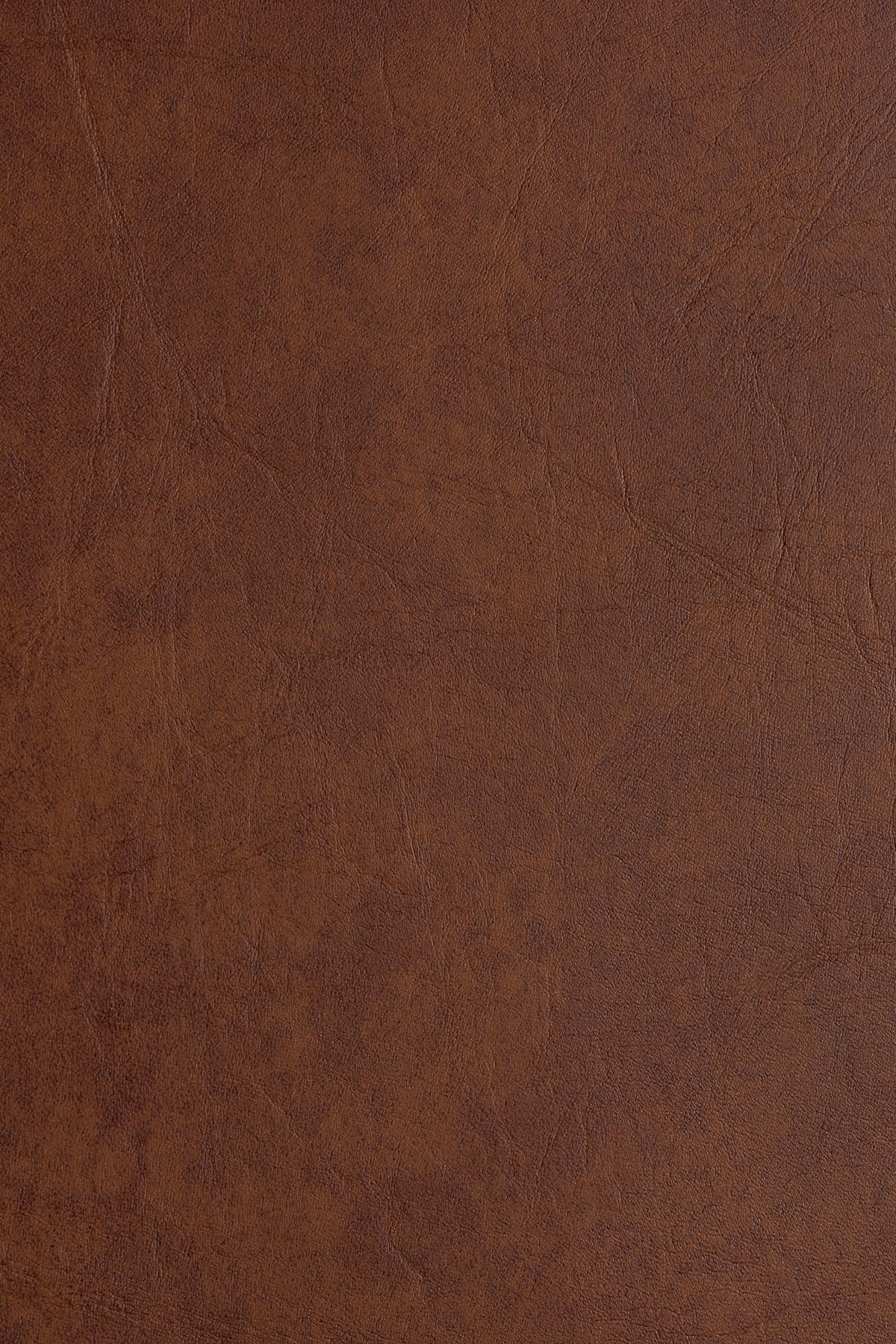 Grain de cuir