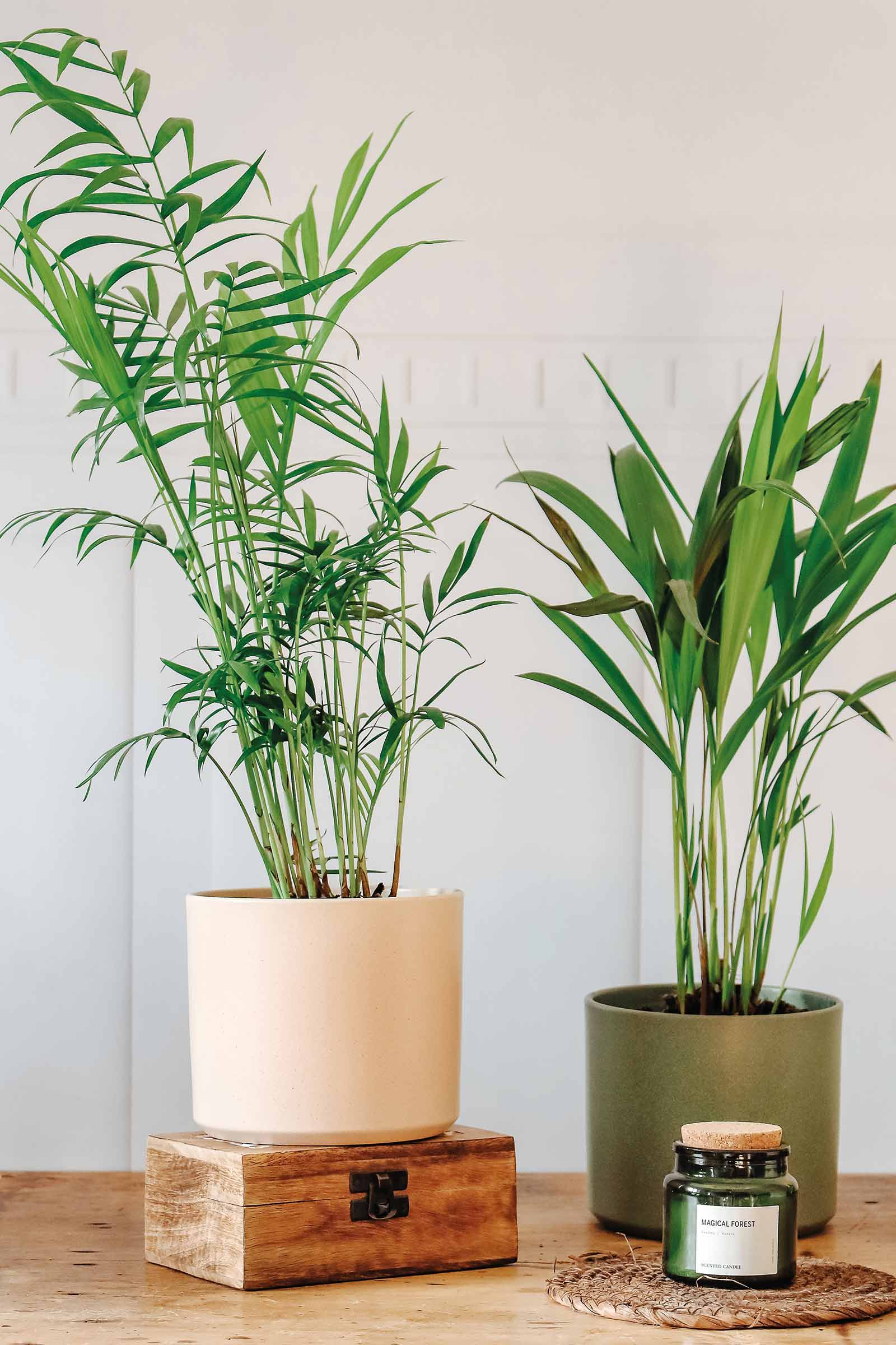 Grec antique (vertical)