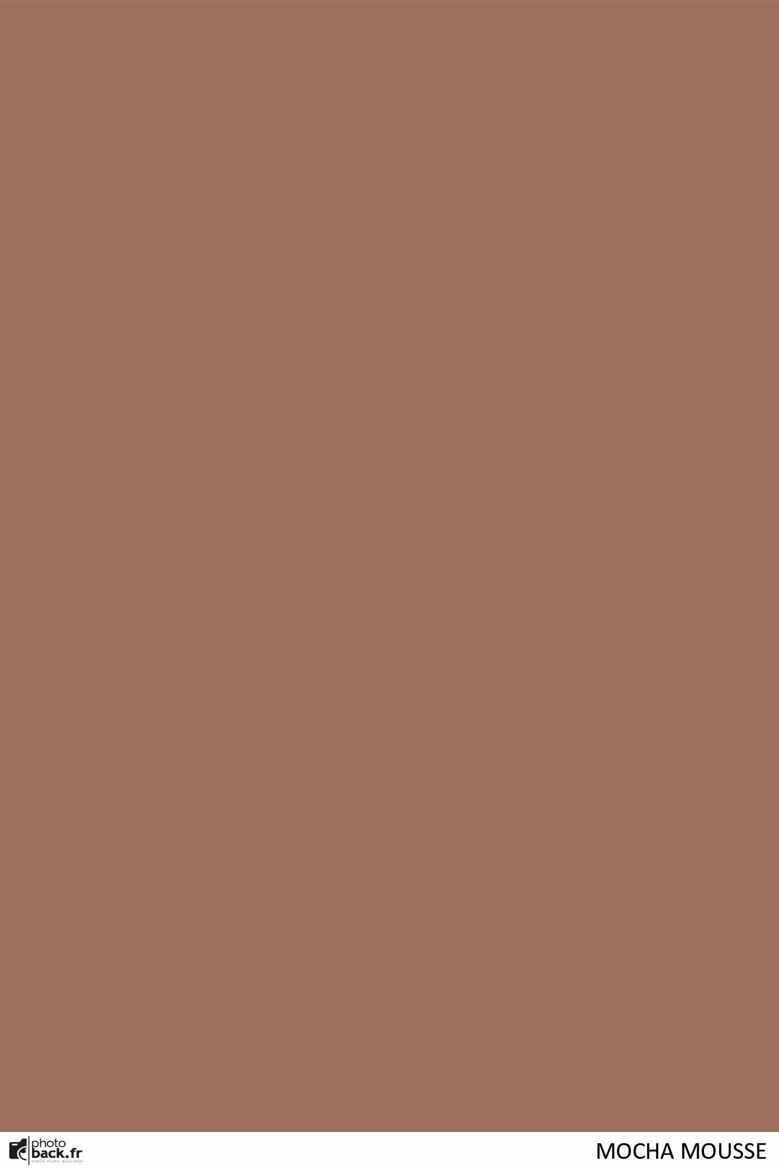Mocha mousse