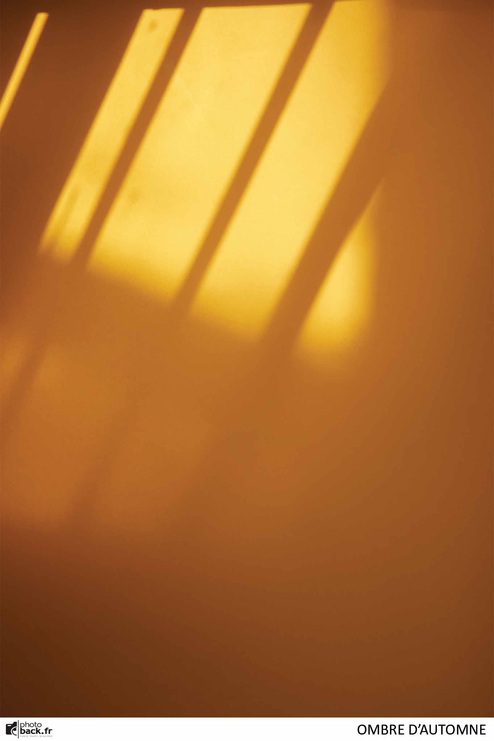 fond photo photoback ombre d'automne