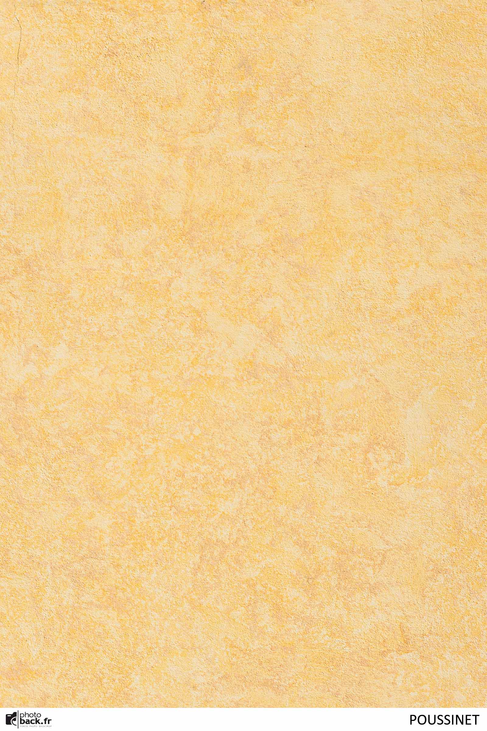 POUSSINET