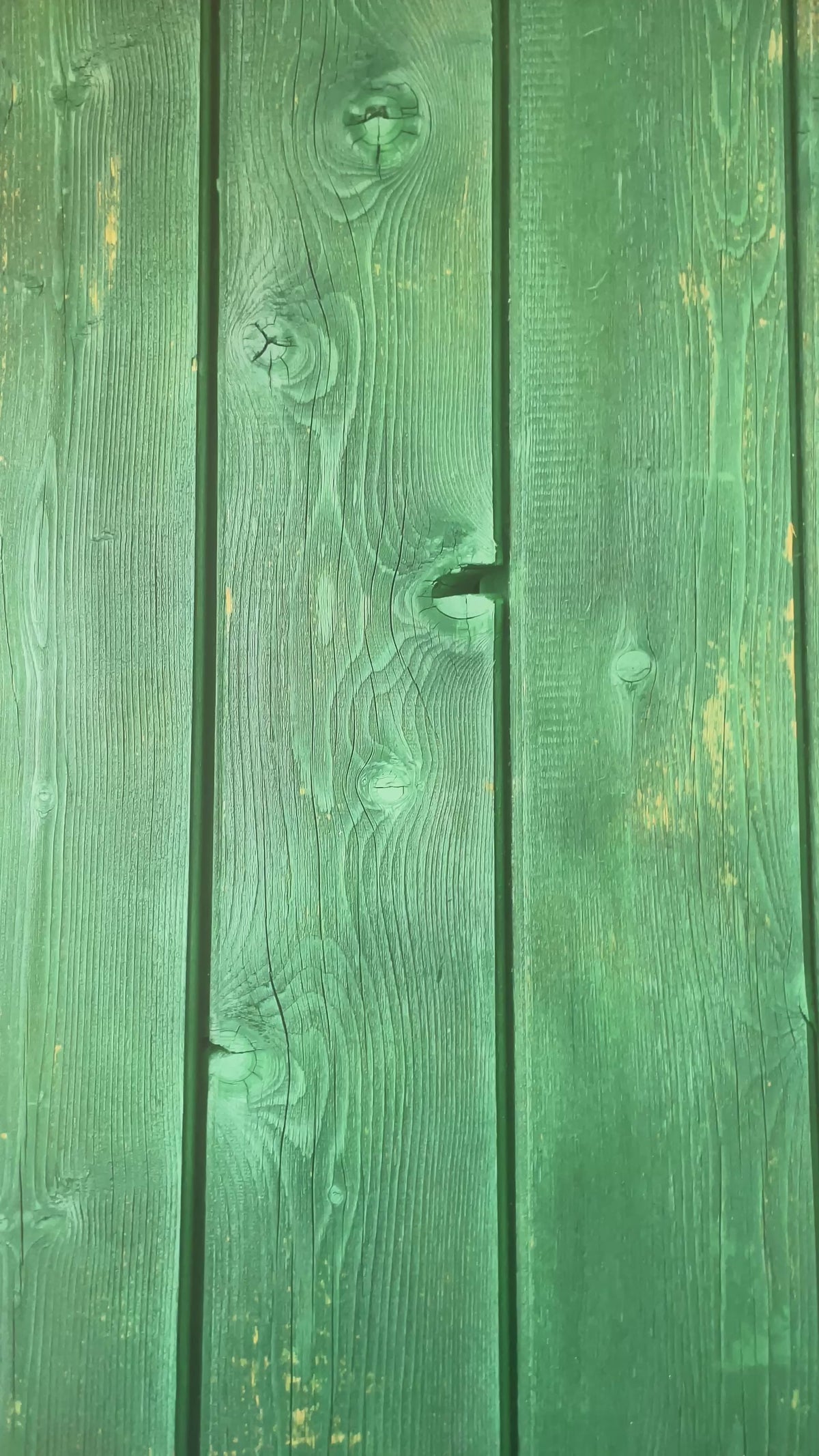 Vert poétique