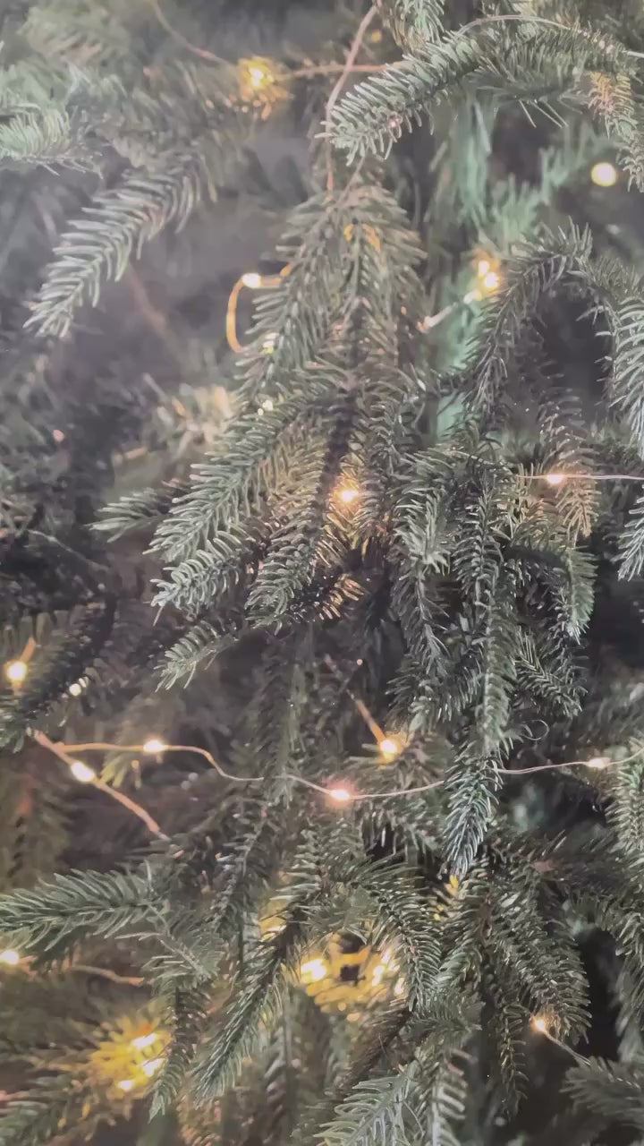 Sapin illuminé